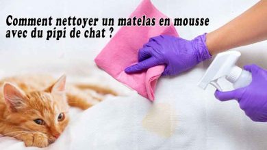 Comment nettoyer un matelas en mousse avec du pipi de chat