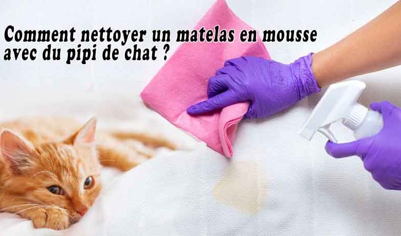 Comment nettoyer un matelas en mousse avec du pipi de chat