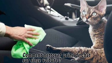 Comment nettoyer urine de chat sur siege voiture