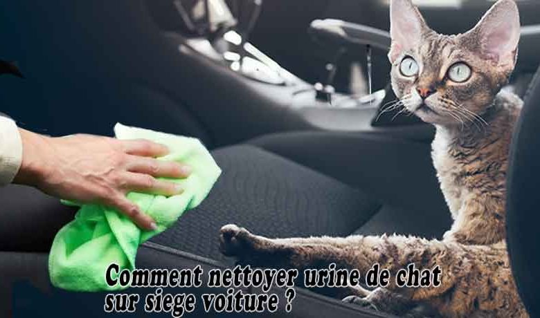 Comment nettoyer urine de chat sur siege voiture