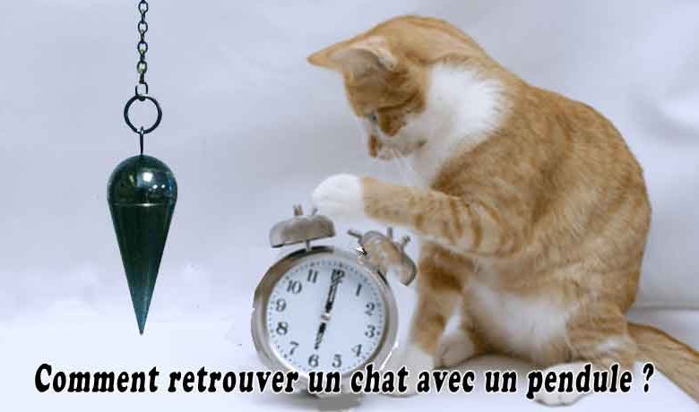 Comment retrouver un chat avec un pendule