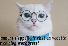 Comment s'appelle le chat en vedette sur ce blog wordpress