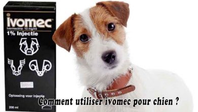 Comment utiliser ivomec pour chien