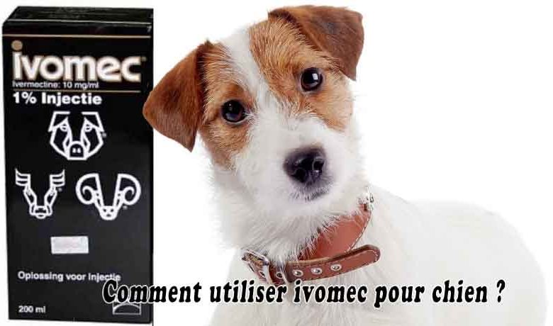 Comment utiliser ivomec pour chien