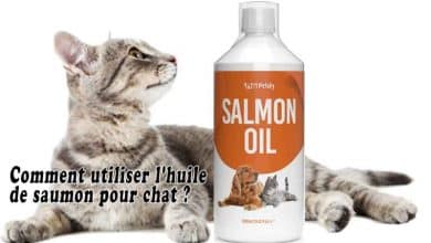 Comment utiliser l'huile de saumon pour chat