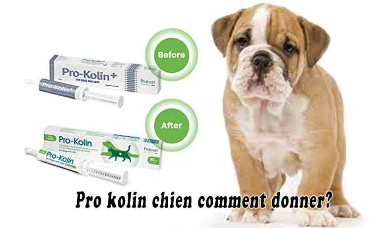 Pro kolin chien comment donner