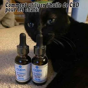 Comment utiliser l'huile de CBD pour les chats?-AVANTAGES DE L'HUILE DE CBD POUR LES CHATS