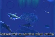 Comment avoir un aquarium animal crossing