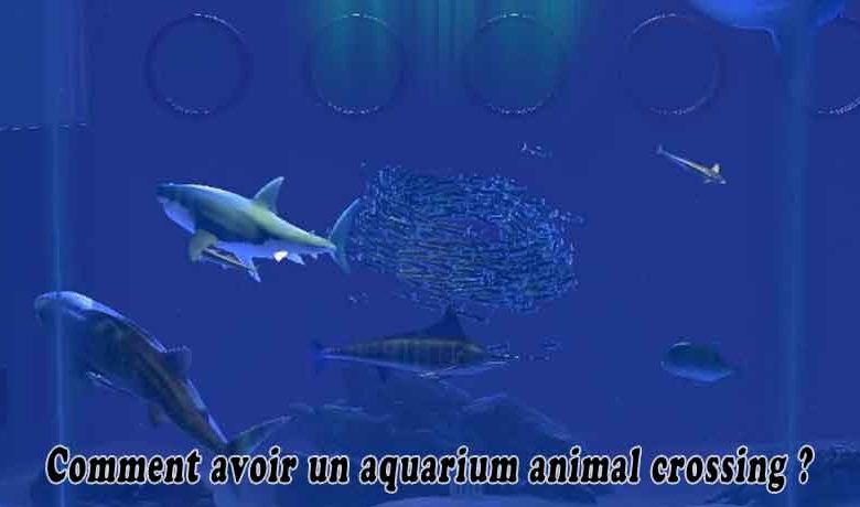 Comment avoir un aquarium animal crossing