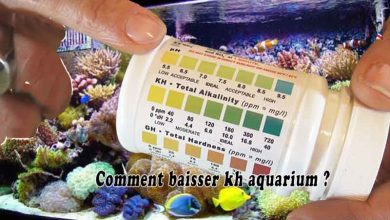 Comment baisser kh aquarium