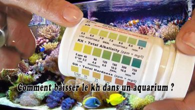 Comment baisser le kh dans un aquarium