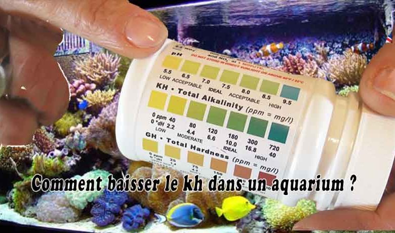 Comment baisser le kh dans un aquarium