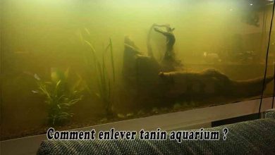 Comment enlever tanin aquarium