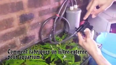 Comment fabriquer un filtre externe pour aquarium