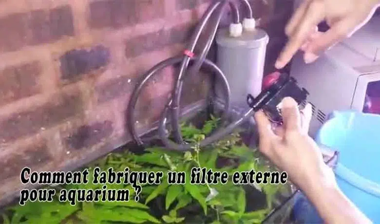 Comment fabriquer un filtre externe pour aquarium