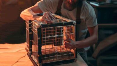 Comment fabriquer une cage de transport pour chien