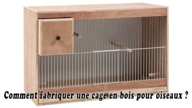 Comment fabriquer une cage en bois pour oiseaux