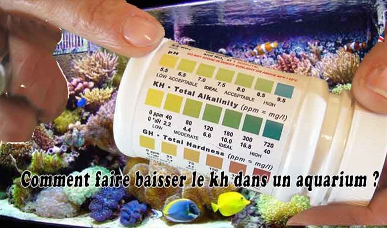 Comment faire baisser le kh dans un aquarium