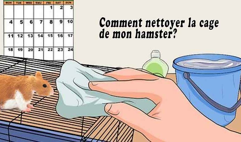 Comment nettoyer la cage de mon hamster?