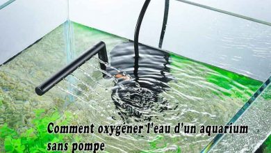 Comment oxygéner l'eau d'un aquarium sans pompe