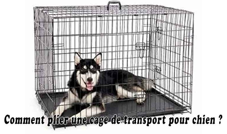 Comment plier une cage de transport pour chien