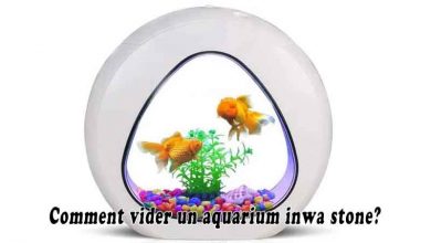 Comment vider un aquarium inwa stone?