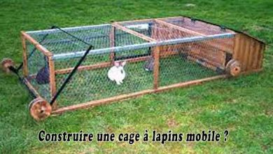 Construire une cage à lapins mobile