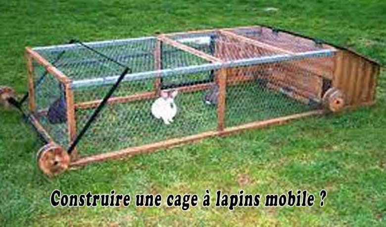 Construire une cage à lapins mobile