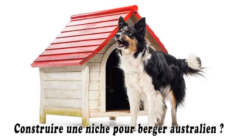 Construire une niche pour berger australien