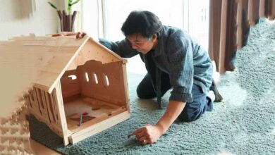 Fabriquer niche d’intérieur pour chien?
