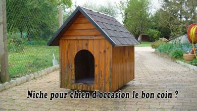 Niche pour chien d’occasion le bon coin