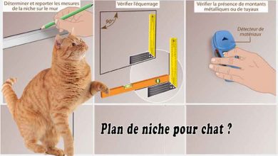 Plan de niche pour chat