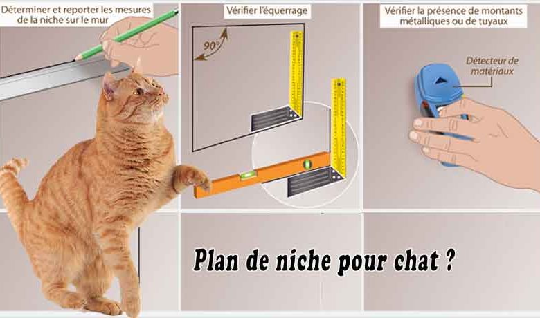 Plan de niche pour chat