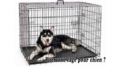 Plier une cage pour chien