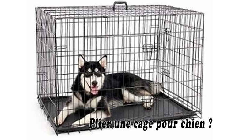 Plier une cage pour chien
