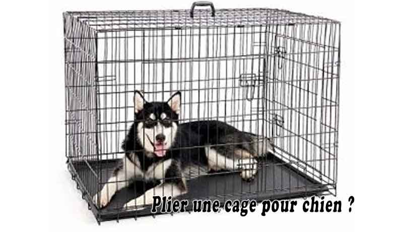 Plier une cage pour chien