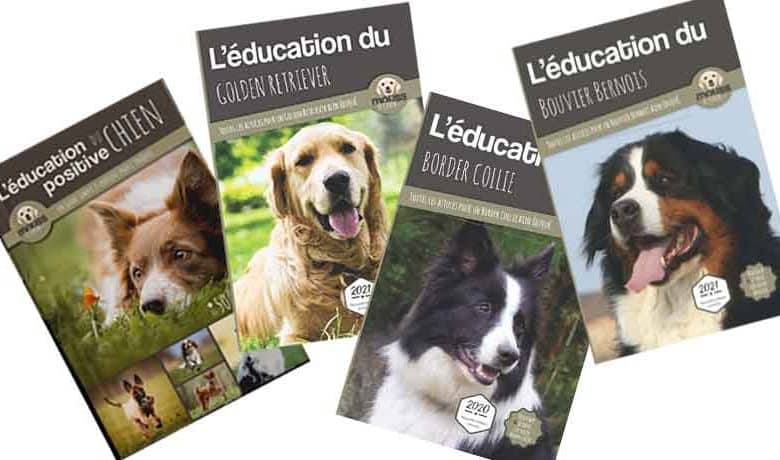 Meilleurs Livres éducatifs pour chiens