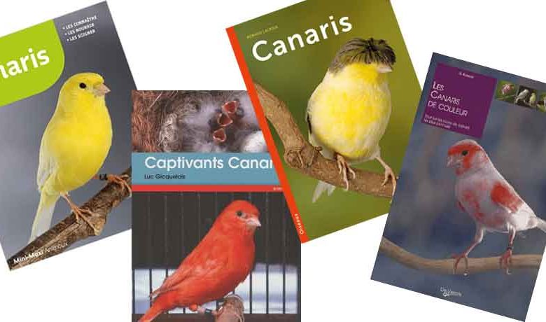 Les meilleurs livres des canaris - ELEVAGE ET SOINS