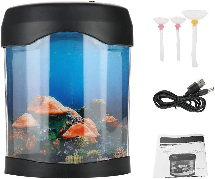 Quel meilleur aquarium pour les petits poissons