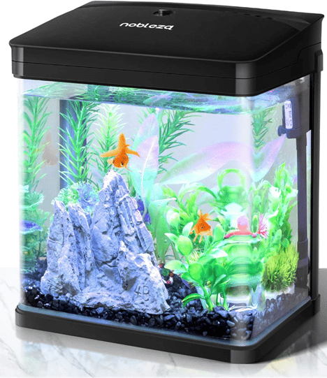 Quel meilleur aquarium pour les petits poissons