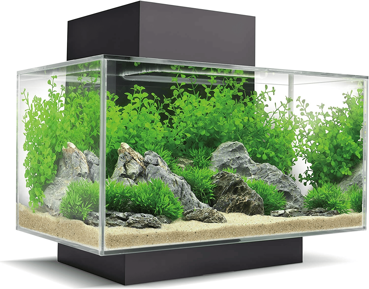 Quel meilleur aquarium pour les petits poissons