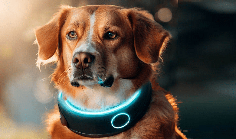 Comment choisir le collier anti-aboiement avancé le plus adapté à votre chien ?