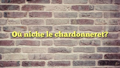 Où niche le chardonneret?