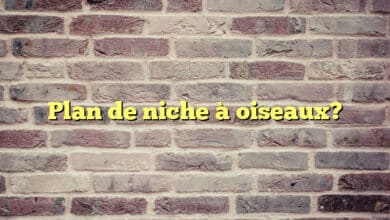 Plan de niche à oiseaux?