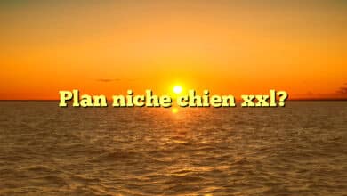 Plan niche chien xxl?