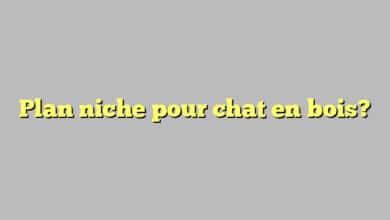 Plan niche pour chat en bois?