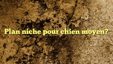 Plan niche pour chien moyen?