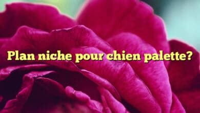 Plan niche pour chien palette?