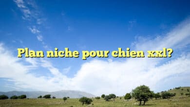 Plan niche pour chien xxl?
