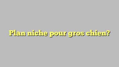 Plan niche pour gros chien?